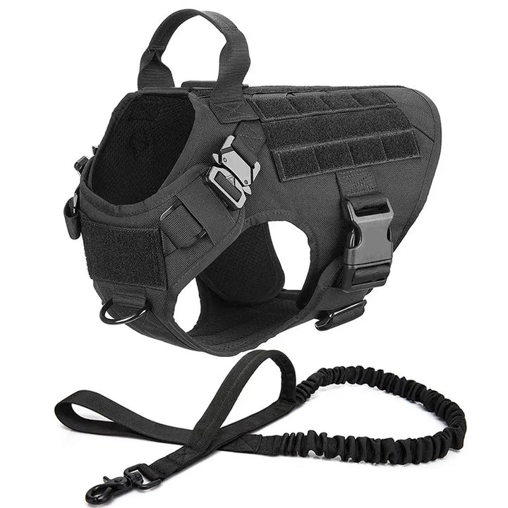 Dog's tactical no-pull harness for K9 training. Durable pet gear for all adventures.