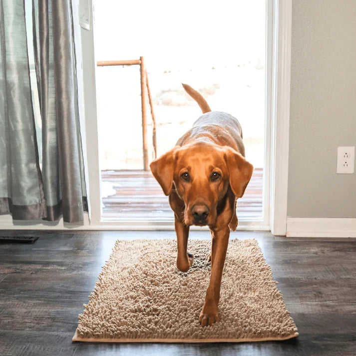 Absorbent pet entryway mat, perfect for wet paws. Machine washable dog mat keeps your home clean.
