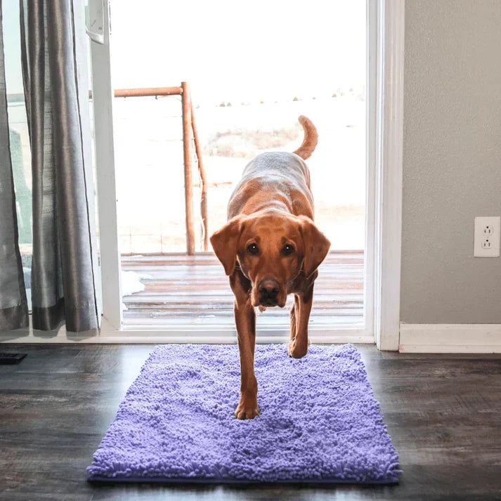 Pet paw cleaner dog mat, ultra-absorbent & non-slip. Chenille floor protector for wet & muddy paws.