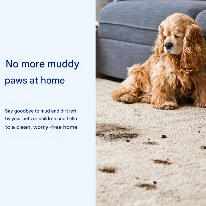 Machine washable dog mat, ultra-absorbent chenille for wet paws. Non-slip pet floor protector.