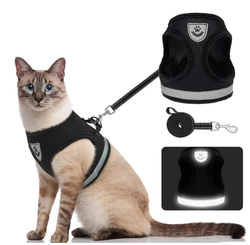 Unisex cat harness & leash set for secure outdoor walks. Adjustable, escape-proof design for safety.