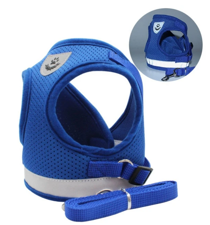 Premium cat harness & leash set for secure walks. Features adjustable straps & reflective elements for safety.