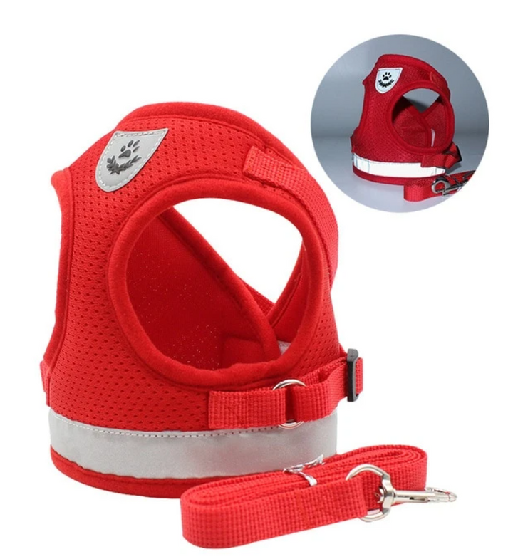 Soft mesh cat harness and matching leash, designed for comfortable and secure outdoor adventures.