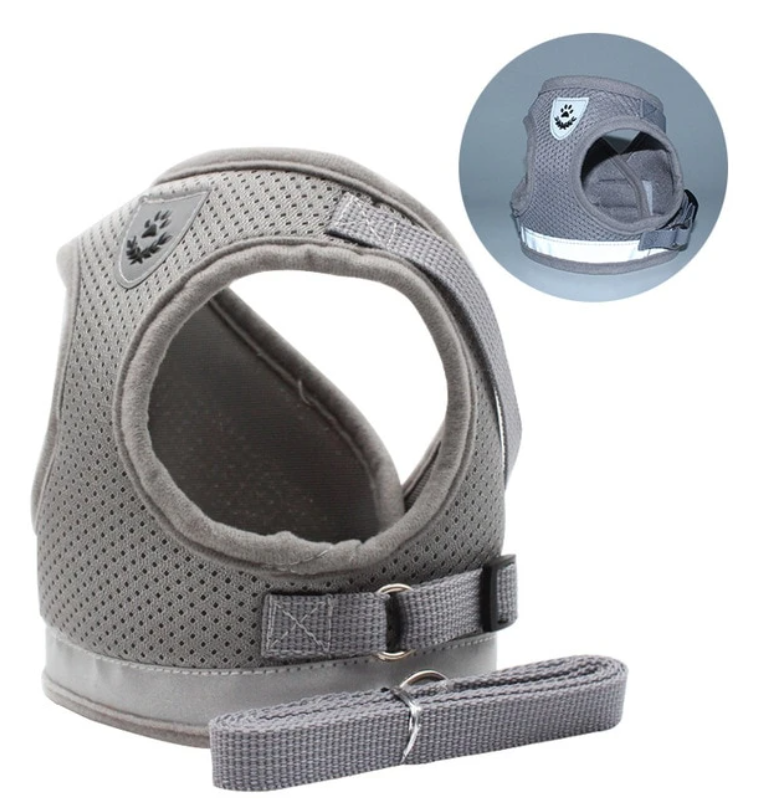 Adjustable cat chest harness and leash set, ideal for preventing escapes during walks and training.