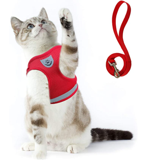 Cat safety equipment: reflective harness and leash for secure outdoor exploration and training.