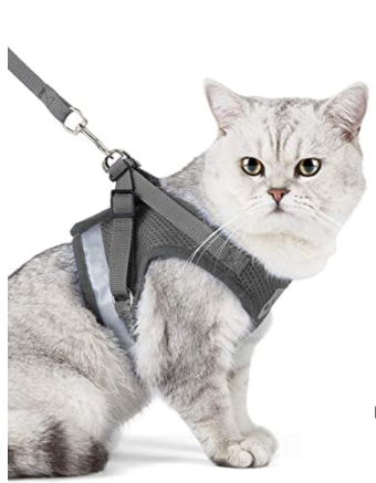 Unisex pet harness and leash for cats, promoting safe and enjoyable walks. Adjustable and durable.
