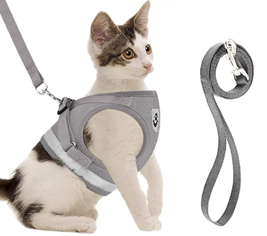 Outdoor cat accessory: secure walking harness with reflective elements and a strong leash for safety.