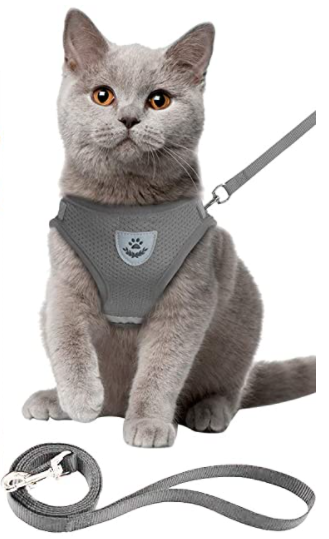 Training-friendly cat harness and leash set, featuring an adjustable, escape-proof design for peace of mind.