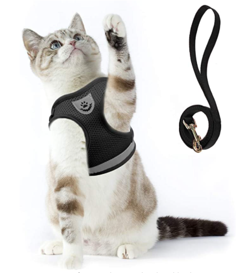 Explore safely with this adjustable cat harness & leash. Reflective, comfortable & secure for all cats.