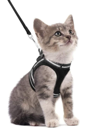 High-quality cat harness and leash combo, ensuring your cat's safety & comfort during outdoor activities.