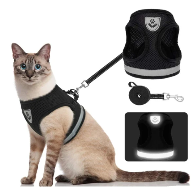 Reflective, breathable cat walking vest with leash. Adjustable for secure fit, perfect for outdoor cats.