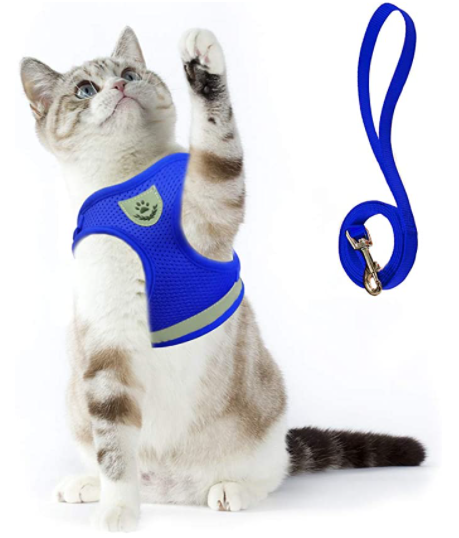 Secure & comfortable cat harness with leash for walks. Escape-proof, adjustable for a range of cat sizes.