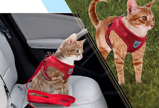 Comfortable adjustable cat harness with reflective strips and leash for safe daytime or nighttime walks.