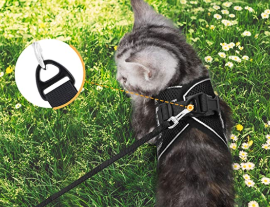 Pet safety cat harness & leash combo, designed for secure, escape-proof outdoor adventures with your feline.