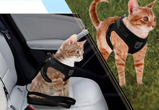 Lightweight, breathable cat harness with adjustable straps & leash for comfortable outdoor walking.