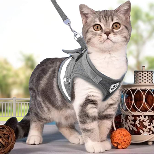 Unisex escape-proof cat harness and leash, perfect for safe and controlled walks. Easy to adjust.