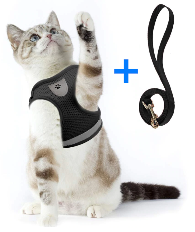 Reflective cat training harness and leash set, ensuring visibility and security during outdoor excursions.