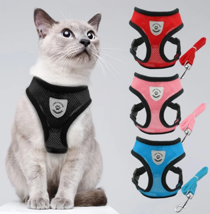 Durable cat walking vest & leash for outdoor cats. Adjustable for snug fit, prevents escapes.
