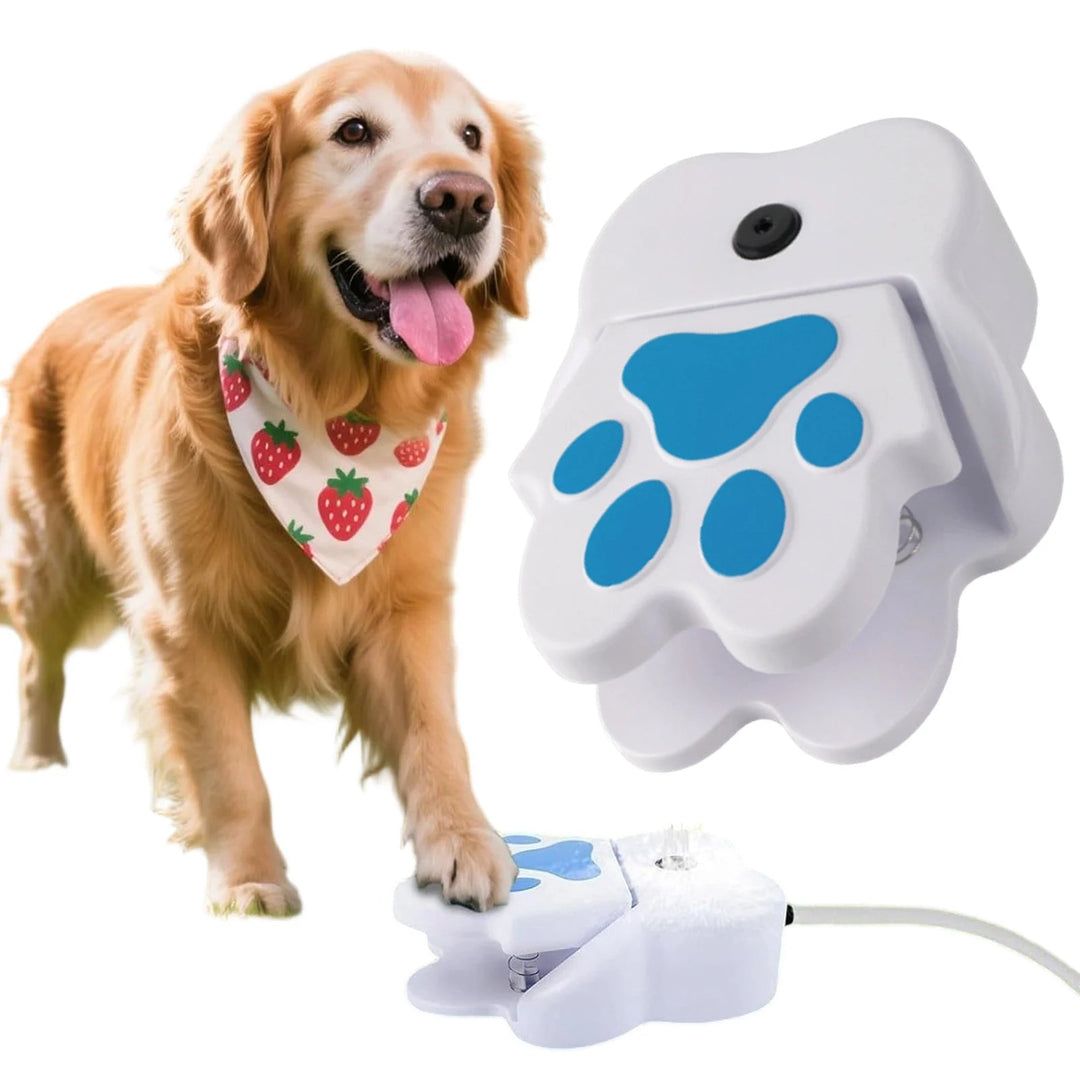Dog playing with an interactive outdoor water fountain, designed with a paw activator for continuous hydration.