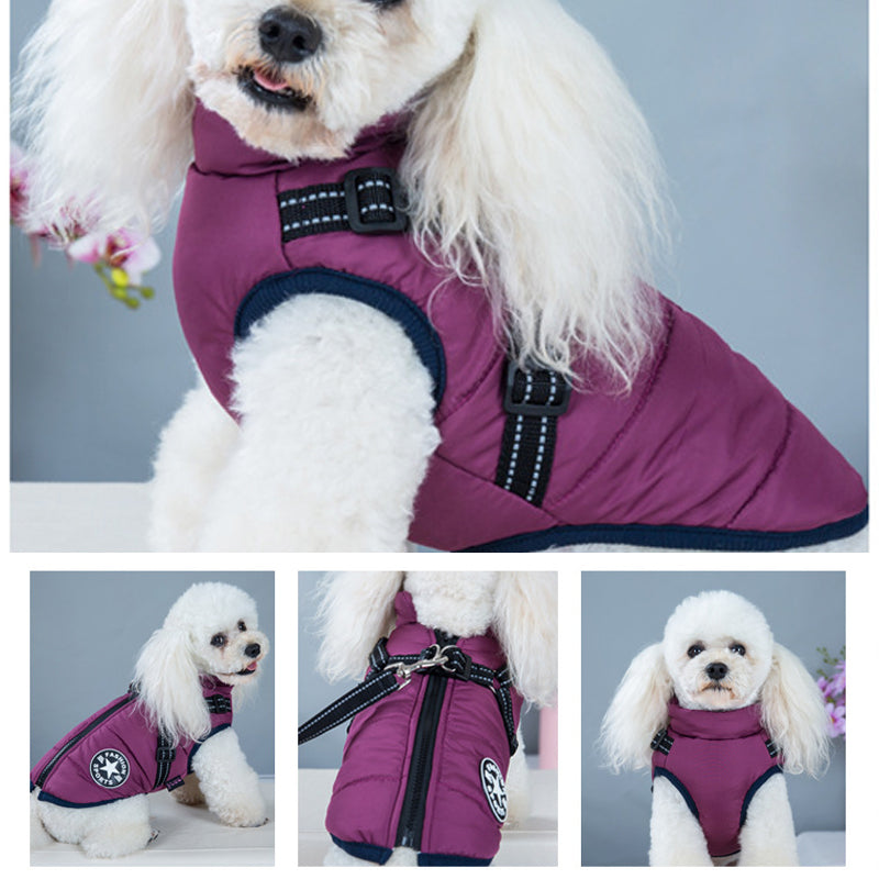 Essential reflective waterproof dog jacket for ultimate pet comfort & protection. Durable all-weather outdoor gear.