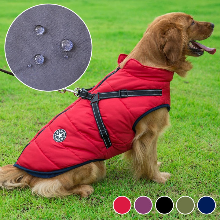 Reflective waterproof dog jacket for safe dog adventures. Protective, all-weather canine apparel with enhanced visibility.