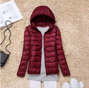 Modern women's lightweight puffer jacket, featuring a protective hood & quilted design for warmth.