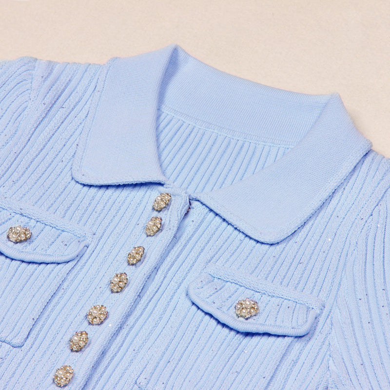 Versatile women's short sleeve ribbed knit polo mini dress, perfect for casual wear and easy styling.